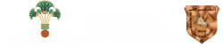 African Insurance Organization Events